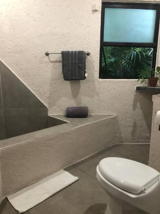 Apartamento Departamento Junto Al Mar Playacar Fase 1 *