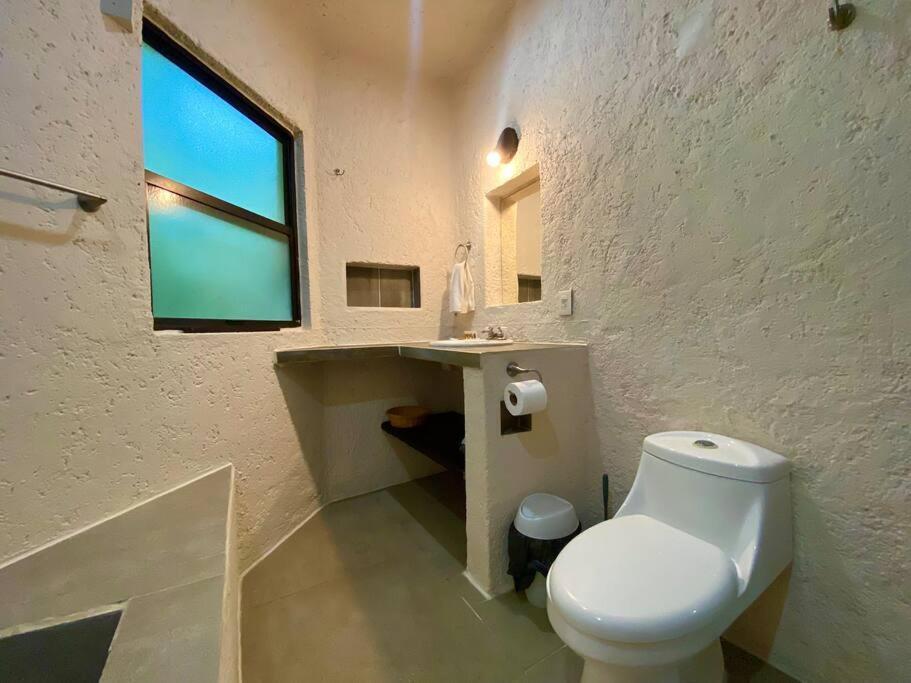 Apartamento Departamento Junto Al Mar Playacar Fase 1 *
