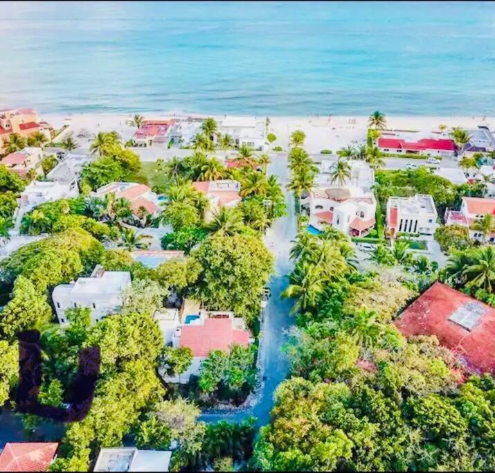 Departamento Junto Al Mar Playacar Fase 1 Apartamento Playa del Carmen