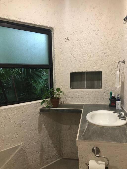Departamento Junto Al Mar Playacar Fase 1 Apartamento