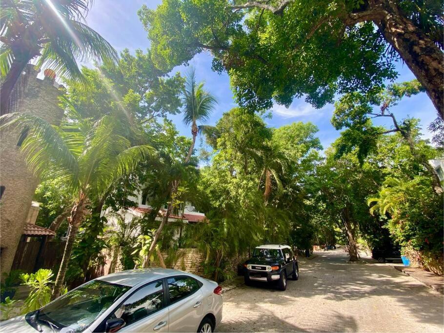 Departamento Junto Al Mar Playacar Fase 1 Apartamento Playa del Carmen
