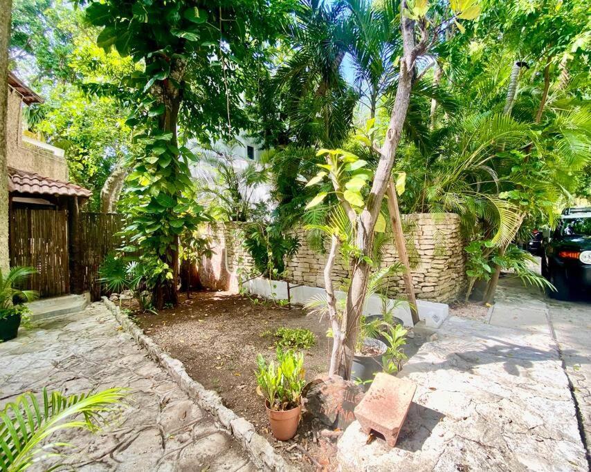 Departamento Junto Al Mar Playacar Fase 1