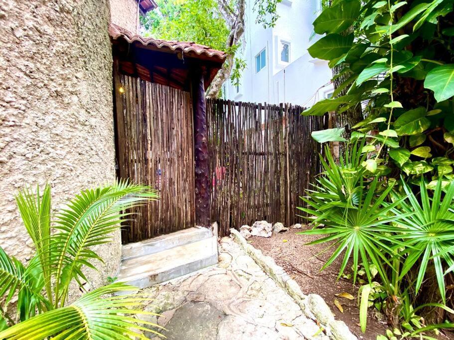 Departamento Junto Al Mar Playacar Fase 1